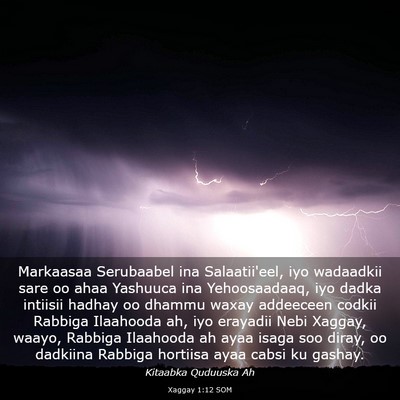 Picture 03 - Xaggay 1:12 SOM - Markaasaa Serubaabel ina Salaatii'eel, iyo - Bible Verse Picture
