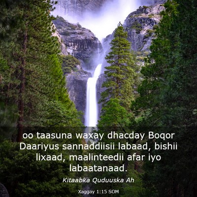 Picture 03 - Xaggay 1:15 SOM - oo taasuna waxay dhacday Boqor Daariyus - Bible Verse Picture