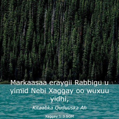Picture 03 - Xaggay 1:3 SOM - Markaasaa eraygii Rabbigu u yimid Nebi Xaggay oo - Bible Verse Picture