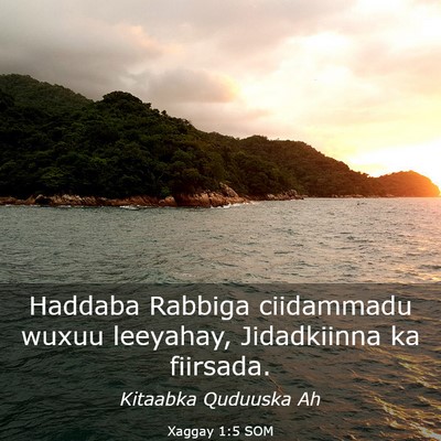 Picture 03 - Xaggay 1:5 SOM - Haddaba Rabbiga ciidammadu wuxuu leeyahay, - Bible Verse Picture