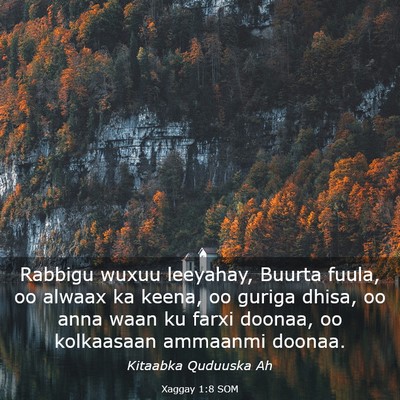 Picture 03 - Xaggay 1:8 SOM - Rabbigu wuxuu leeyahay, Buurta fuula, oo alwaax - Bible Verse Picture
