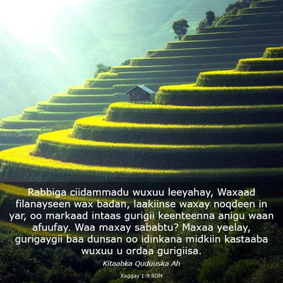 Picture 03 - Xaggay 1:9 SOM - Rabbiga ciidammadu wuxuu leeyahay, Waxaad - Bible Verse Picture