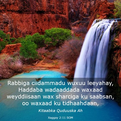 Picture 03 - Xaggay 2:11 SOM - Rabbiga ciidammadu wuxuu leeyahay, Haddaba - Bible Verse Picture