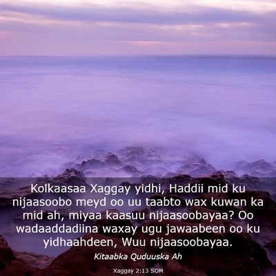 Picture 03 - Xaggay 2:13 SOM - Kolkaasaa Xaggay yidhi, Haddii mid ku nijaasoobo - Bible Verse Picture
