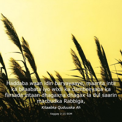 Picture 03 - Xaggay 2:15 SOM - Haddaba waan idin baryayaaye, maanta intii ka - Bible Verse Picture