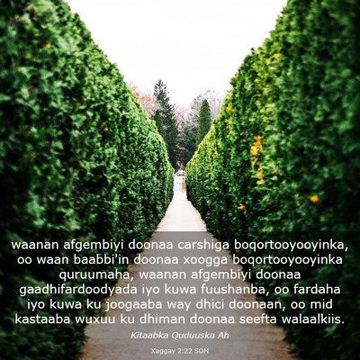 Picture 03 - Xaggay 2:22 SOM - waanan afgembiyi doonaa carshiga - Bible Verse Picture