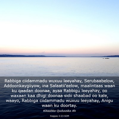 Picture 03 - Xaggay 2:23 SOM - Rabbiga ciidammadu wuxuu leeyahay, Serubaabelow, - Bible Verse Picture