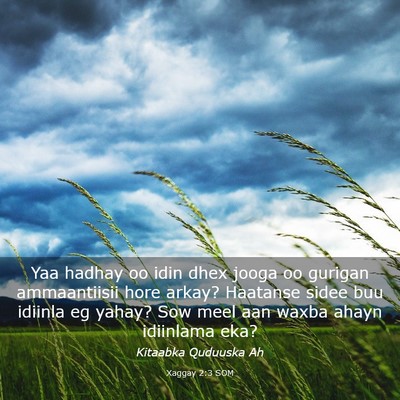 Picture 03 - Xaggay 2:3 SOM - Yaa hadhay oo idin dhex jooga oo gurigan - Bible Verse Picture