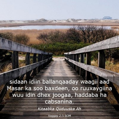 Picture 03 - Xaggay 2:5 SOM - sidaan idiin ballanqaaday waagii aad Masar ka soo - Bible Verse Picture