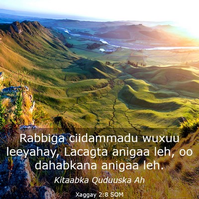 Picture 03 - Xaggay 2:8 SOM - Rabbiga ciidammadu wuxuu leeyahay, Lacagta anigaa - Bible Verse Picture