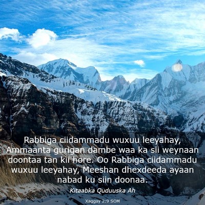 Picture 03 - Xaggay 2:9 SOM - Rabbiga ciidammadu wuxuu leeyahay, Ammaanta - Bible Verse Picture