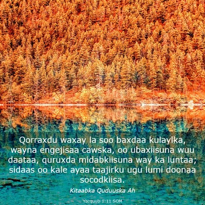 Picture 03 - Yacquub 1:11 SOM - Qorraxdu waxay la soo baxdaa kulaylka, wayna - Bible Verse Picture