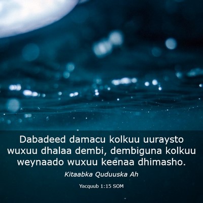 Picture 03 - Yacquub 1:15 SOM - Dabadeed damacu kolkuu uuraysto wuxuu dhalaa - Bible Verse Picture