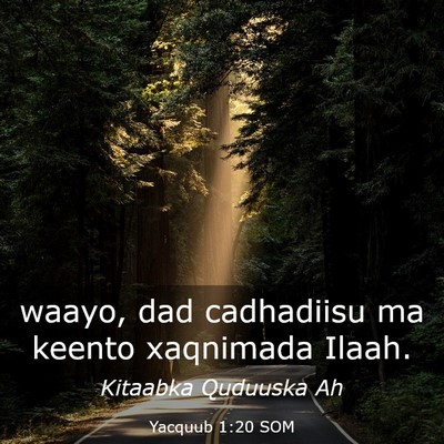 Picture 03 - Yacquub 1:20 SOM - waayo, dad cadhadiisu ma keento xaqnimada - Bible Verse Picture