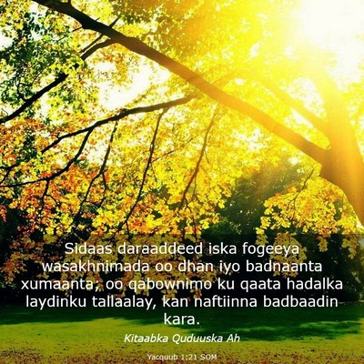 Picture 03 - Yacquub 1:21 SOM - Sidaas daraaddeed iska fogeeya wasakhnimada oo - Bible Verse Picture