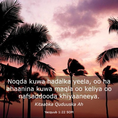 Picture 03 - Yacquub 1:22 SOM - Noqda kuwa hadalka yeela, oo ha ahaanina kuwa - Bible Verse Picture