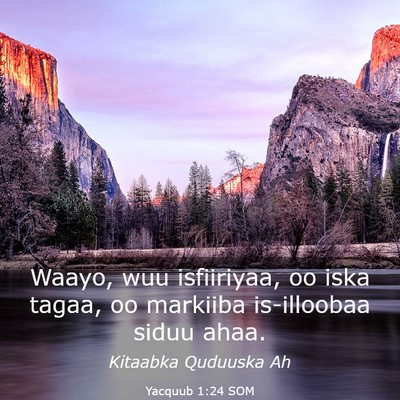 Picture 03 - Yacquub 1:24 SOM - Waayo, wuu isfiiriyaa, oo iska tagaa, oo markiiba - Bible Verse Picture