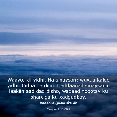 Picture 03 - Yacquub 2:11 SOM - Waayo, kii yidhi, Ha sinaysan; wuxuu kaloo yidhi, - Bible Verse Picture