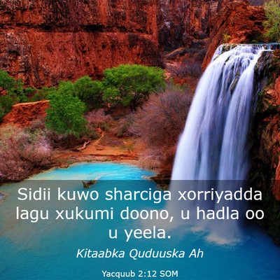 Picture 03 - Yacquub 2:12 SOM - Sidii kuwo sharciga xorriyadda lagu xukumi doono, - Bible Verse Picture