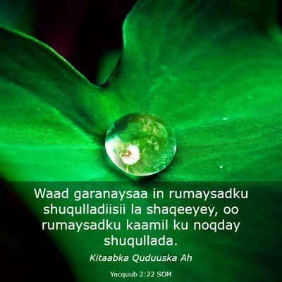 Picture 03 - Yacquub 2:22 SOM - Waad garanaysaa in rumaysadku shuqulladiisii la - Bible Verse Picture