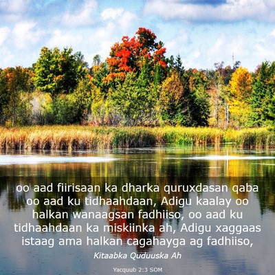 Picture 03 - Yacquub 2:3 SOM - oo aad fiirisaan ka dharka quruxdasan qaba oo aad - Bible Verse Picture