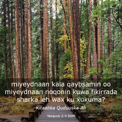 Picture 03 - Yacquub 2:4 SOM - miyeydnaan kala qaybsamin oo miyeydnaan noqonin - Bible Verse Picture