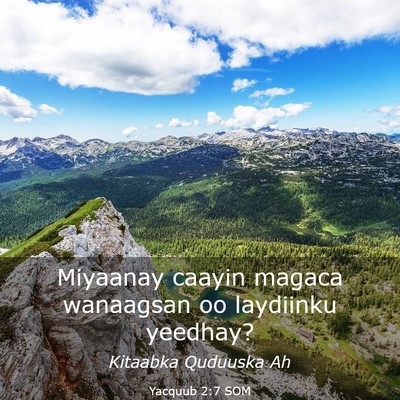 Picture 03 - Yacquub 2:7 SOM - Miyaanay caayin magaca wanaagsan oo laydiinku - Bible Verse Picture