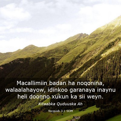 Picture 03 - Yacquub 3:1 SOM - Macallimiin badan ha noqonina, walaalahayow, - Bible Verse Picture