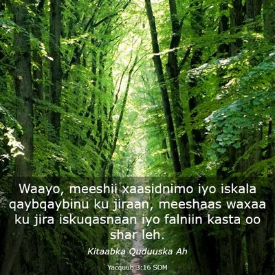 Picture 03 - Yacquub 3:16 SOM - Waayo, meeshii xaasidnimo iyo iskala qaybqaybinu - Bible Verse Picture
