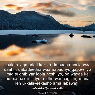Picture 03 - Yacquub 3:17 SOM - Laakiin xigmaddii kor ka timaadaa horta waa - Bible Verse Picture