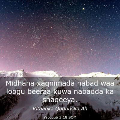 Picture 03 - Yacquub 3:18 SOM - Midhaha xaqnimada nabad waa loogu beeraa kuwa - Bible Verse Picture