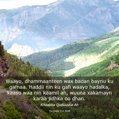 Picture 03 - Yacquub 3:2 SOM - Waayo, dhammaanteen wax badan baynu ku gafnaa. - Bible Verse Picture
