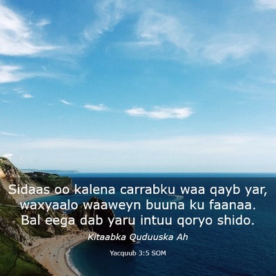 Picture 03 - Yacquub 3:5 SOM - Sidaas oo kalena carrabku waa qayb yar, waxyaalo - Bible Verse Picture