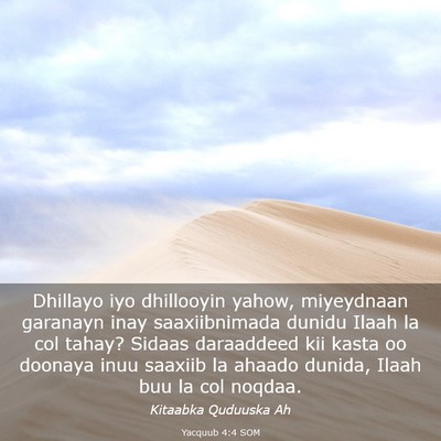 Picture 03 - Yacquub 4:4 SOM - Dhillayo iyo dhillooyin yahow, miyeydnaan - Bible Verse Picture