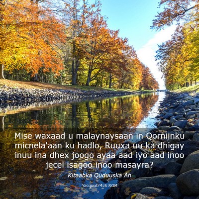 Picture 03 - Yacquub 4:5 SOM - Mise waxaad u malaynaysaan in Qorniinku - Bible Verse Picture