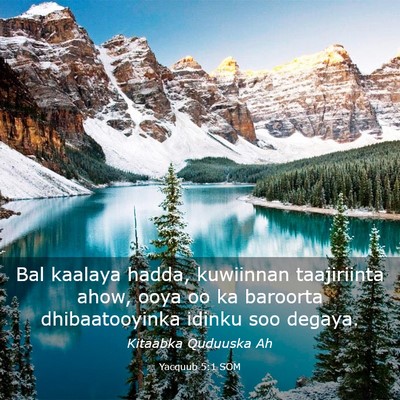 Picture 03 - Yacquub 5:1 SOM - Bal kaalaya hadda, kuwiinnan taajiriinta ahow, - Bible Verse Picture
