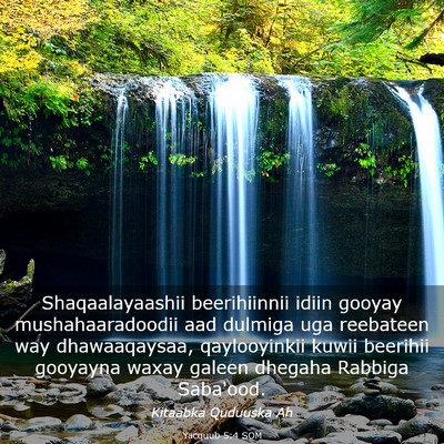 Picture 03 - Yacquub 5:4 SOM - Shaqaalayaashii beerihiinnii idiin gooyay - Bible Verse Picture