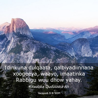 Picture 03 - Yacquub 5:8 SOM - Idinkuna dulqaata, qalbiyadiinnana xoogeeya, - Bible Verse Picture