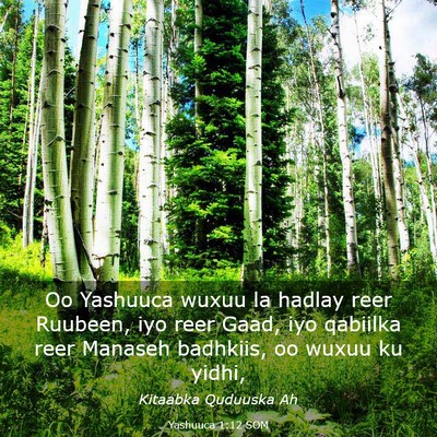 Picture 03 - Yashuuca 1:12 SOM - Oo Yashuuca wuxuu la hadlay reer Ruubeen, iyo - Bible Verse Picture