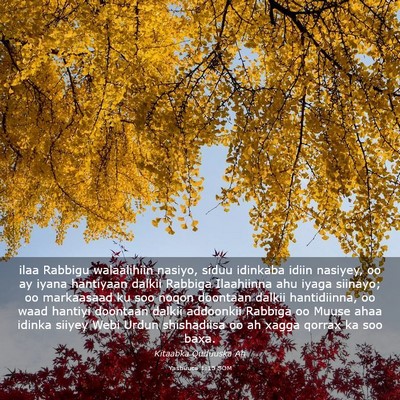 Picture 03 - Yashuuca 1:15 SOM - ilaa Rabbigu walaalihiin nasiyo, siduu idinkaba - Bible Verse Picture
