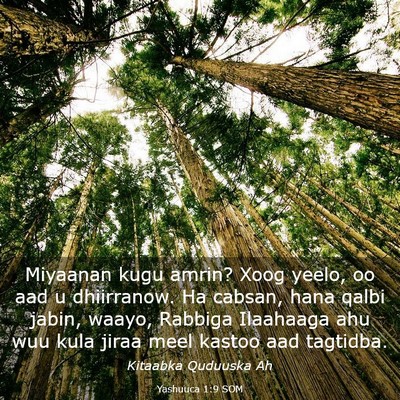 Picture 03 - Yashuuca 1:9 SOM - Miyaanan kugu amrin? Xoog yeelo, oo aad u - Bible Verse Picture
