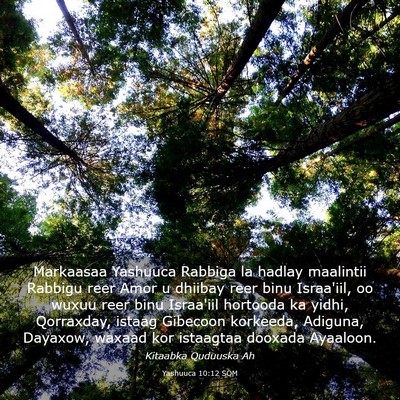 Picture 03 - Yashuuca 10:12 SOM - Markaasaa Yashuuca Rabbiga la hadlay maalintii - Bible Verse Picture