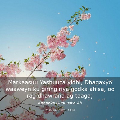 Picture 03 - Yashuuca 10:18 SOM - Markaasuu Yashuuca yidhi, Dhagaxyo waaweyn ku - Bible Verse Picture