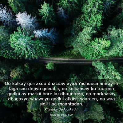 Picture 03 - Yashuuca 10:27 SOM - Oo kolkay qorraxdu dhacday ayaa Yashuuca amray in - Bible Verse Picture