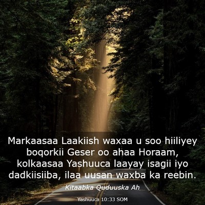 Picture 03 - Yashuuca 10:33 SOM - Markaasaa Laakiish waxaa u soo hiiliyey boqorkii - Bible Verse Picture