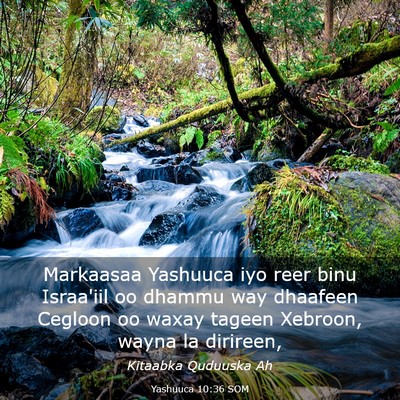 Picture 03 - Yashuuca 10:36 SOM - Markaasaa Yashuuca iyo reer binu Israa'iil oo - Bible Verse Picture