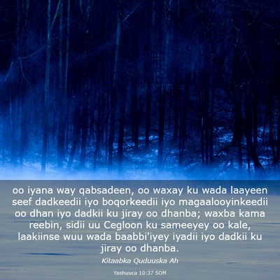 Picture 03 - Yashuuca 10:37 SOM - oo iyana way qabsadeen, oo waxay ku wada laayeen - Bible Verse Picture