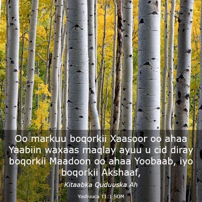Picture 03 - Yashuuca 11:1 SOM - Oo markuu boqorkii Xaasoor oo ahaa Yaabiin waxaas - Bible Verse Picture