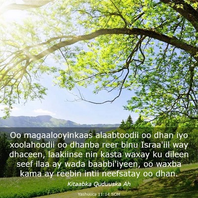 Picture 03 - Yashuuca 11:14 SOM - Oo magaalooyinkaas alaabtoodii oo dhan iyo - Bible Verse Picture