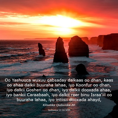 Picture 03 - Yashuuca 11:16 SOM - Oo Yashuuca wuxuu qabsaday dalkaas oo dhan, kaas - Bible Verse Picture